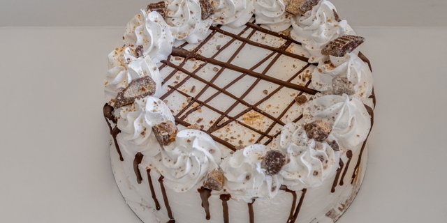 Frozen Yogurt Cake