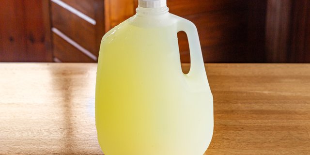 Gallon Lemonade