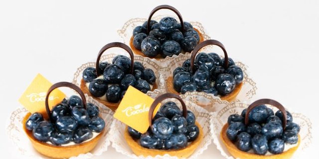 Mini Blueberry Tart