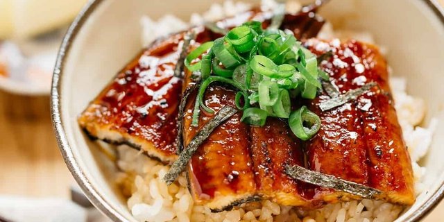 Unagi Don