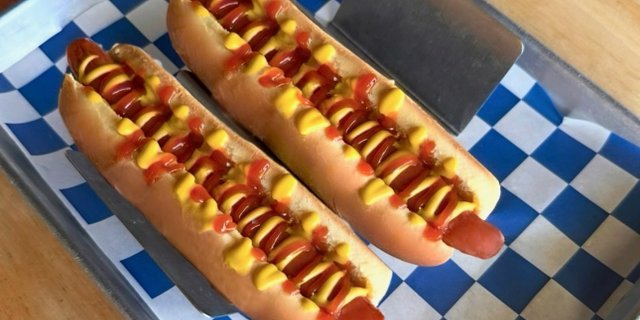 2 Plain Dogs