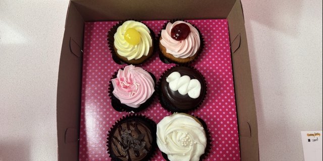 Cupcake 6-Pack