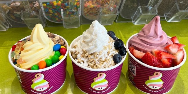 Assorted Dairy-Free Frozen Yogurt