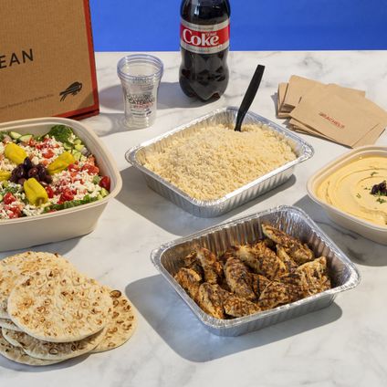 Souvlaki Salad Combo