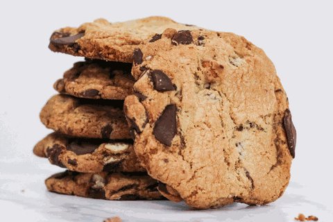 Chocolate Chunk Gourmet Cookie