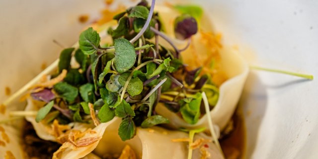 Veggie Wontons