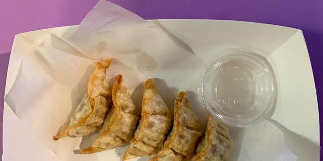 Gyoza (Mandu)