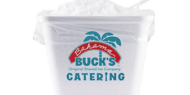 Large Cooler of Sno®