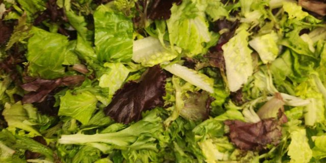 Mixed Green Tray