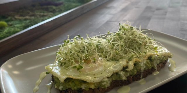 Avocado Toast