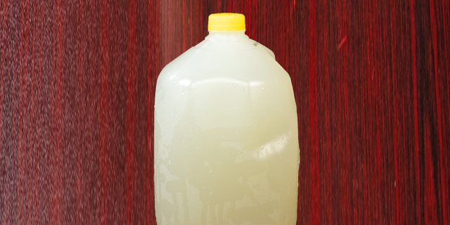 Gallon Lemonade