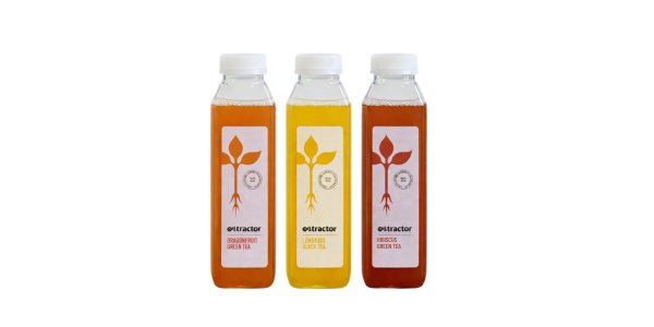 Bottled Roots Tea (Variety Flavors)