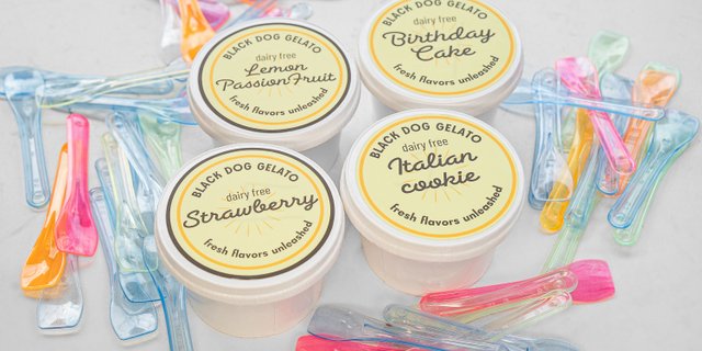 Individual Dairy-Free Gelato Cups Package