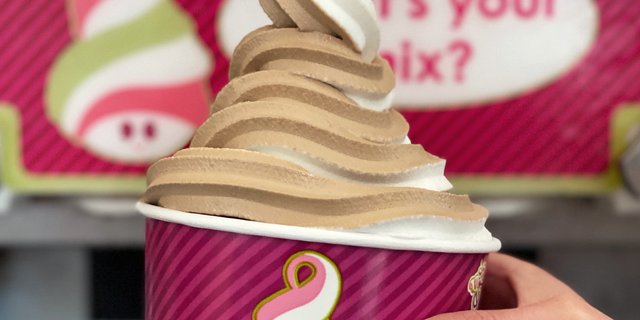 Vanilla & Chocolate Swirl Frozen Yogurt