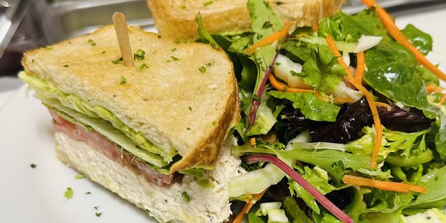 Tuna Sandwich