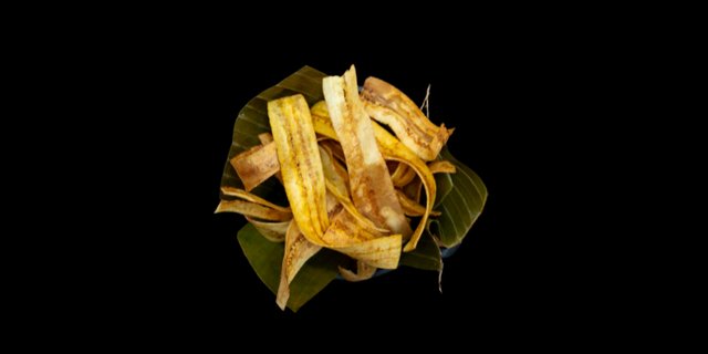 Plantain Chips