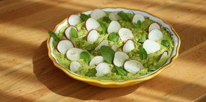 Seasonal Hummus & Crisp
