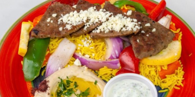 Gyro Plate
