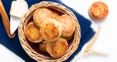 The Sassy Biscuit Co.
