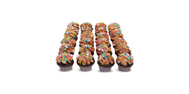 Vegan Mini Cupcakes