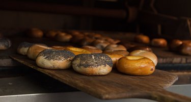 House of Bagels