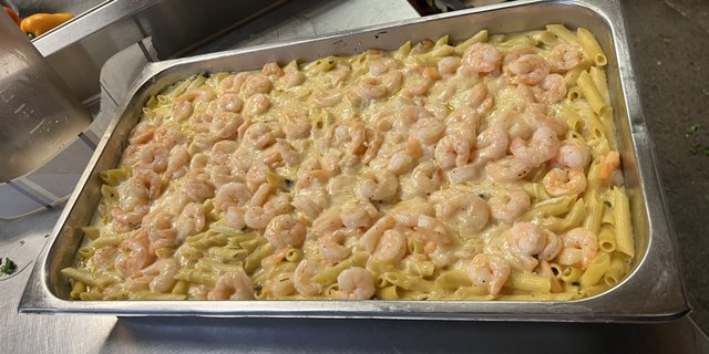 Shrimp Penne Pasta Alfredo Plate