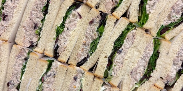 Lunch Sandwich Tray