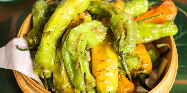 Shishito Pepper