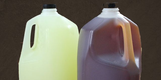 Gallon Lemonade
