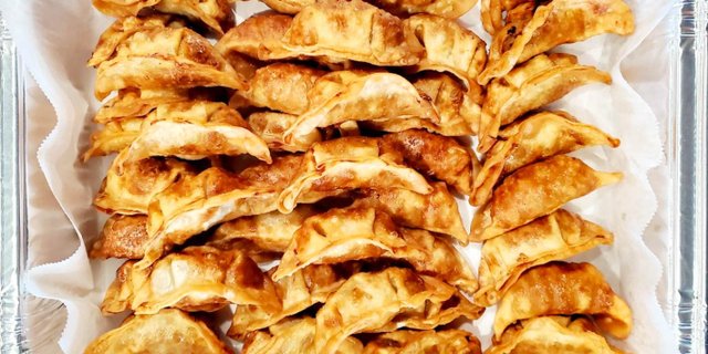 Vegetable Gyoza