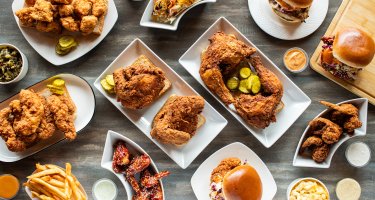 Hot Chicks House Of Chicken