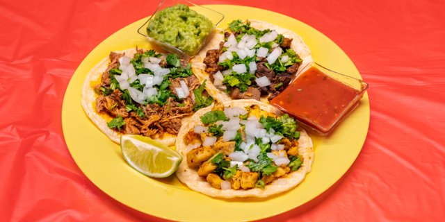 Taco Box