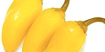 Yellow Chili Pepper