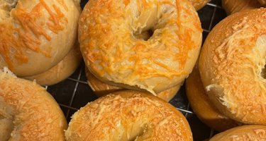 The Bagel Project