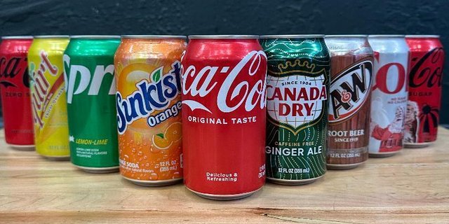 Assorted Individual Sodas