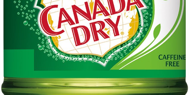 Canada Dry Ginger Ale Bottle