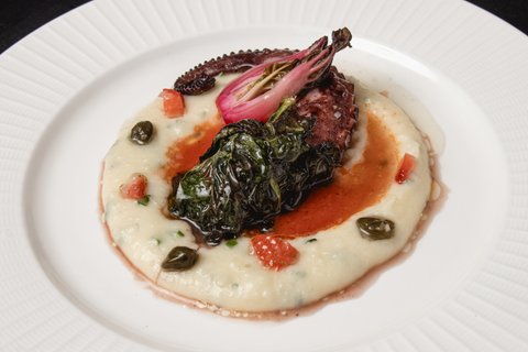 Grilled Octopus