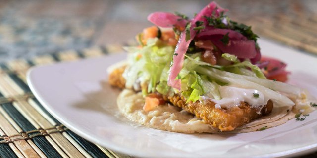 Fried Fish Taco