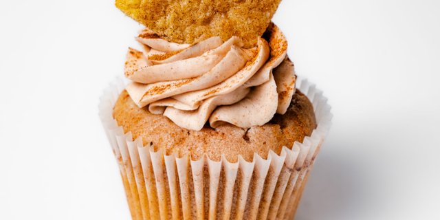 Snickerdoodle Cupcake