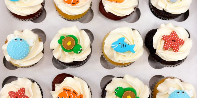 Aquarium Cupcake Gift Box