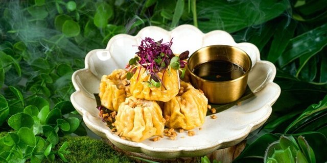 Thai Dumplings