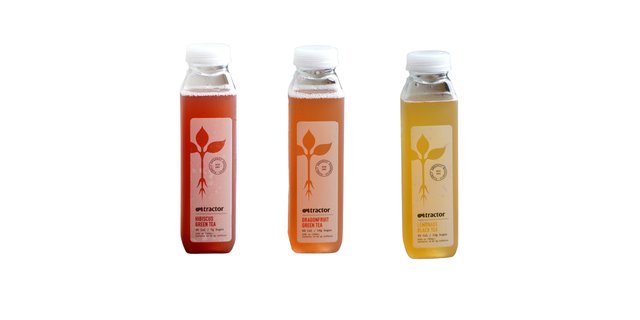 Bottled Roots Tea (Variety Flavors)