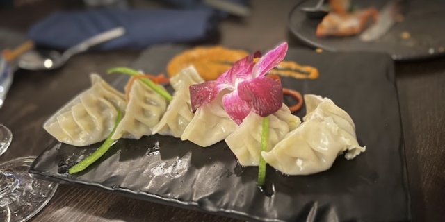Veggie Himalayan Pot Stickers